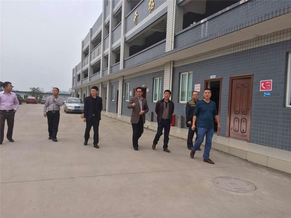 集团组织人员检查各公司卫生