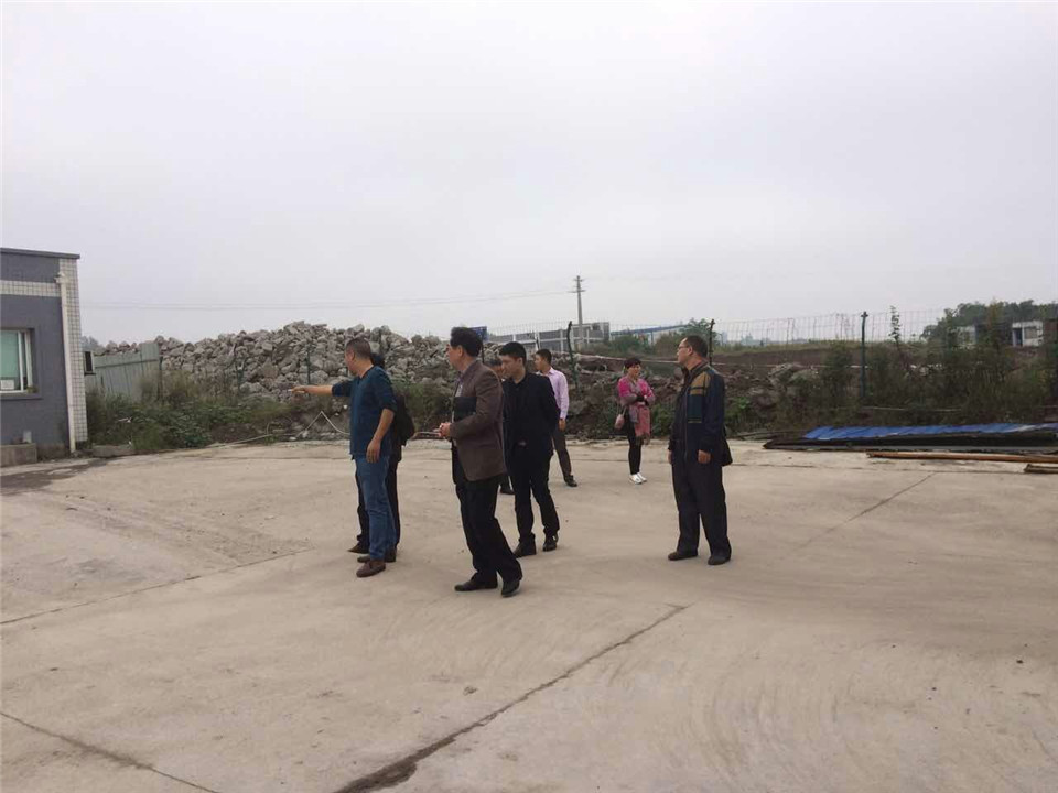 集团组织人员检查各公司卫生